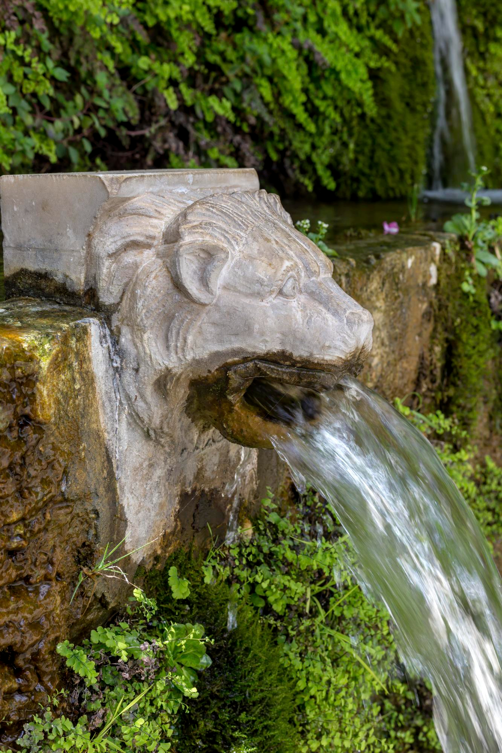 The Springs of Dionysus in the form of a lions head in Menites, Andros island - Cyclades, Greece